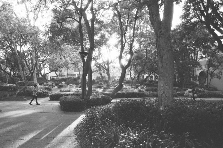 Black and white photo of Caltech campus