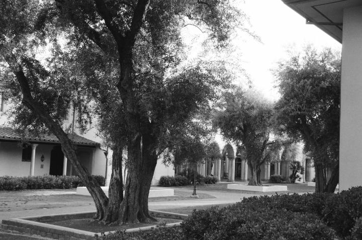 Black and white photo of Caltech campus